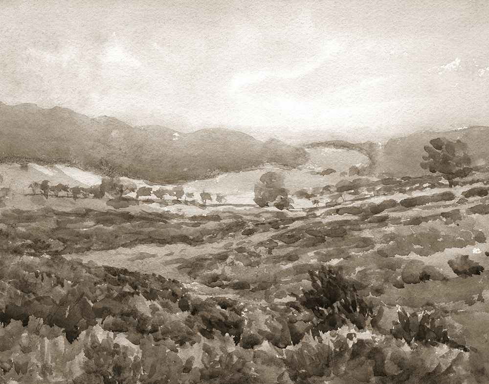 Field of Flowers Sepia art print by Wild Apple Portfolio for $57.95 CAD