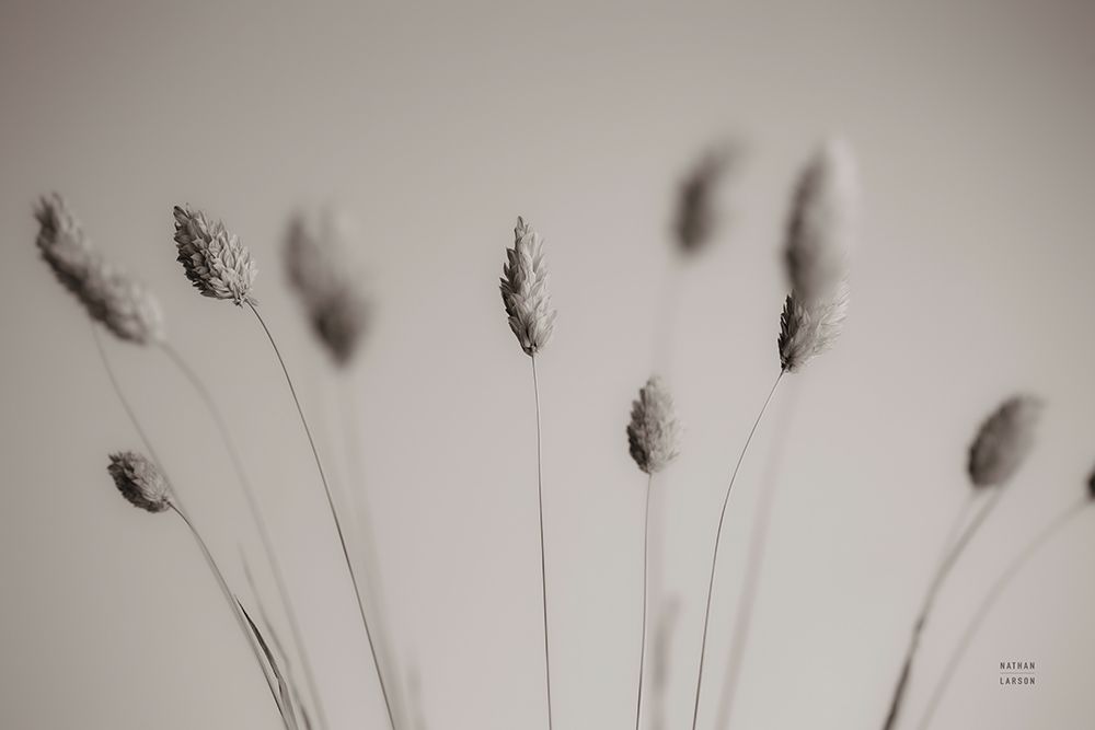 Natural Grasses art print by Nathan Larson for $57.95 CAD