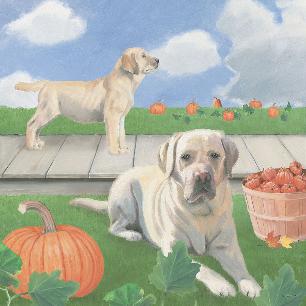 Fall at the Farm II art print by James Wiens for $57.95 CAD