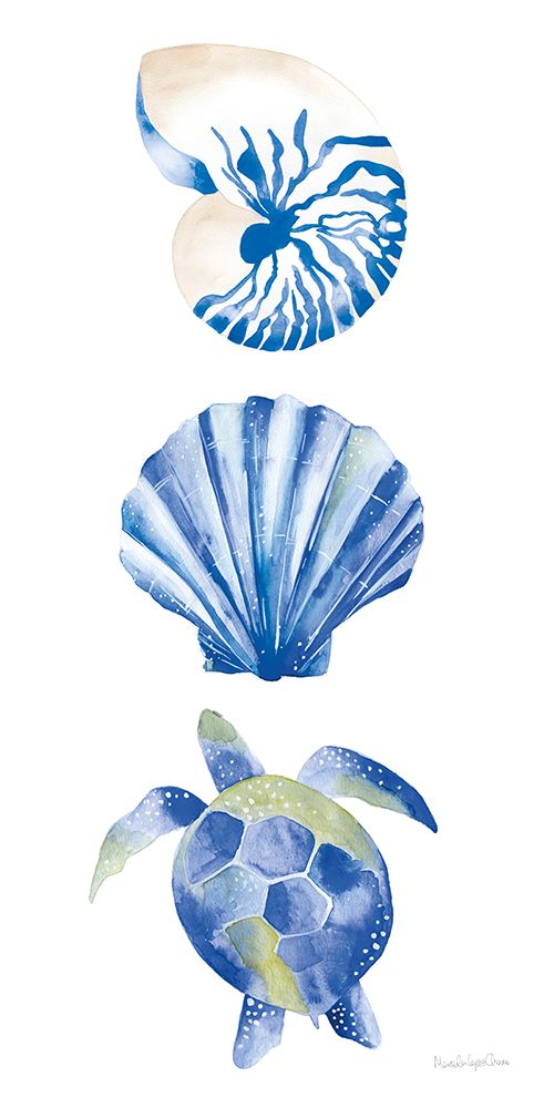 Salty Waves Shells art print by Mercedes Lopez Charro for $57.95 CAD
