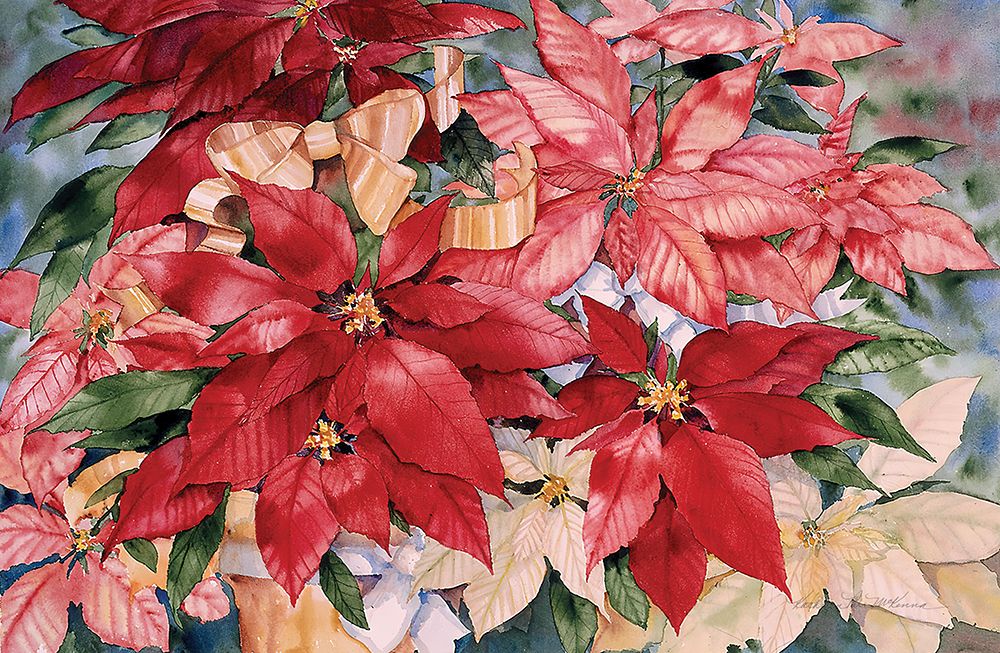 Poinsettia art print by Kathleen Parr McKenna for $57.95 CAD