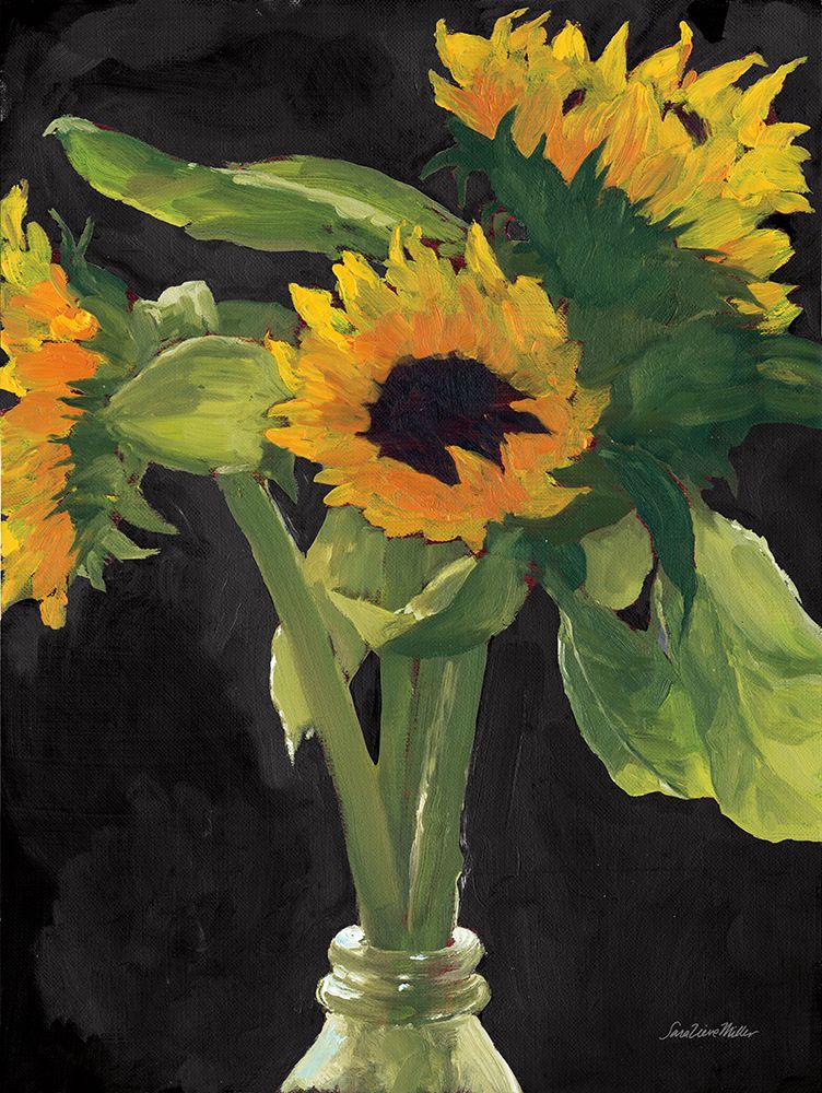 Sunny on Black art print by Sara Zieve Miller for $57.95 CAD