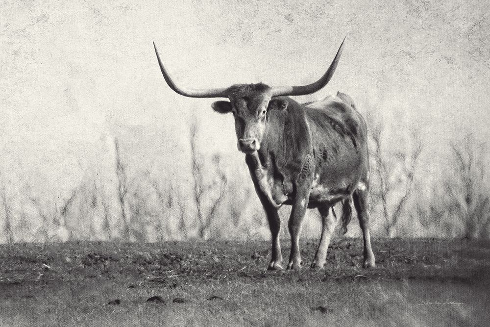 A Texas Longhorn art print by Debra Van Swearingen for $57.95 CAD