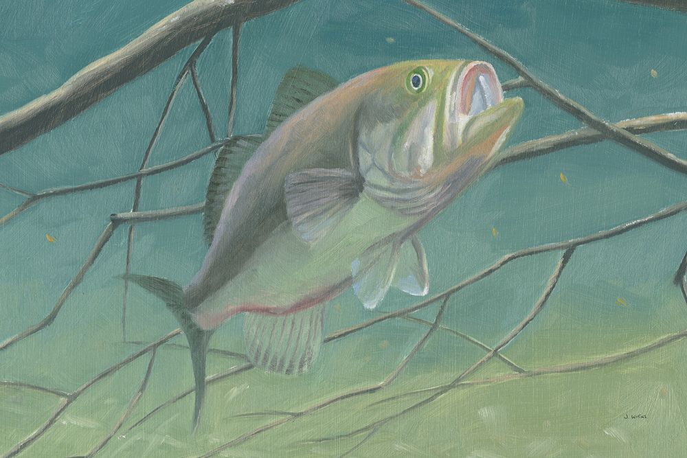 Fresh Catch II art print by James Wiens for $57.95 CAD