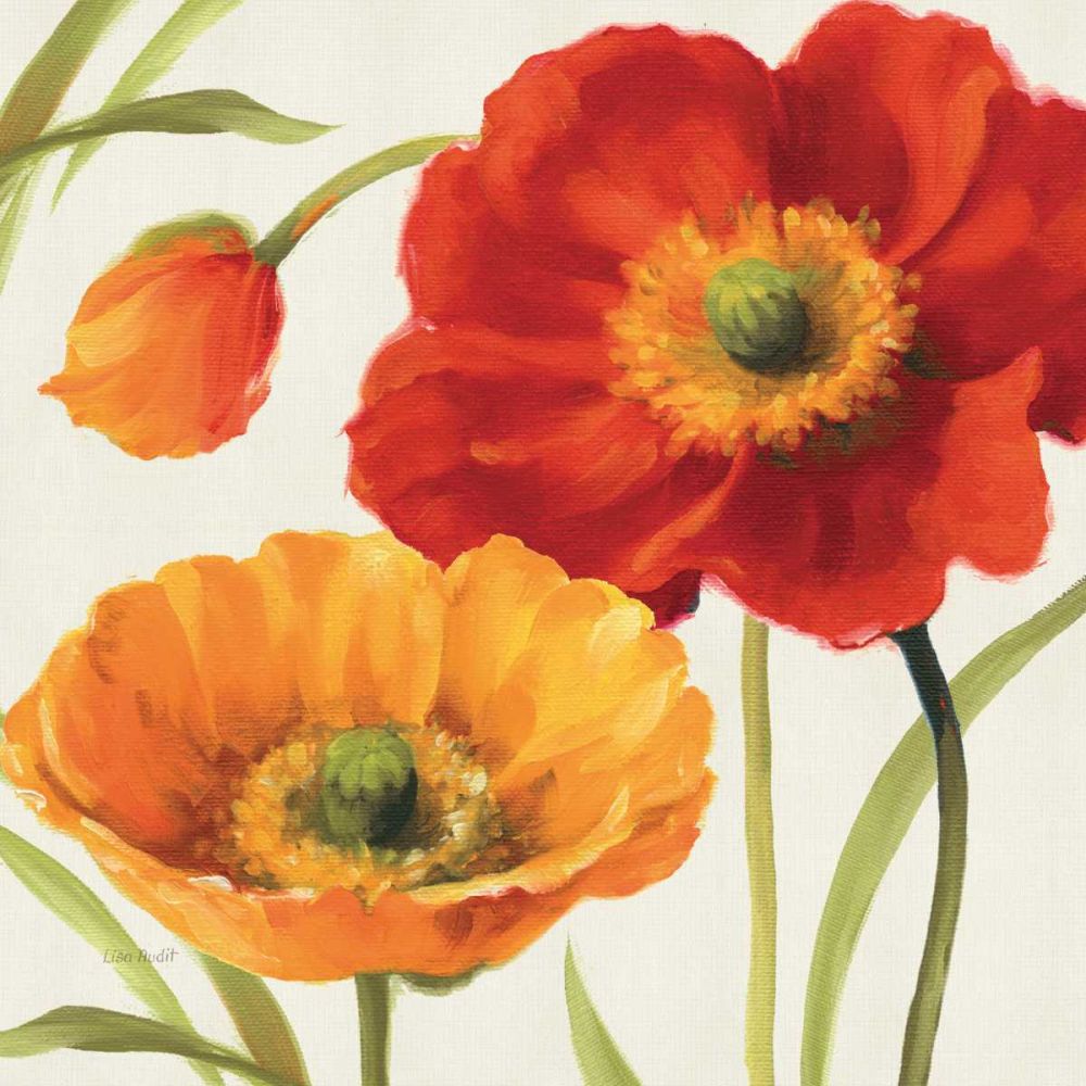 Poppies Melody III art print by Lisa Audit for $57.95 CAD