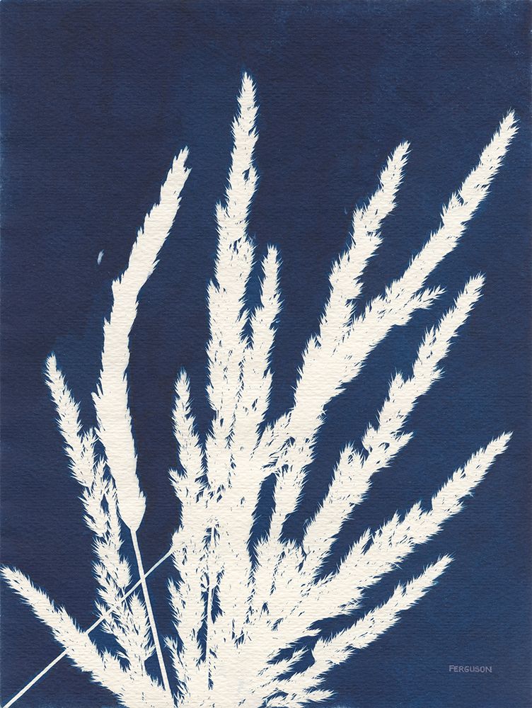 Ornamental Grass II art print by Kathy Ferguson for $57.95 CAD