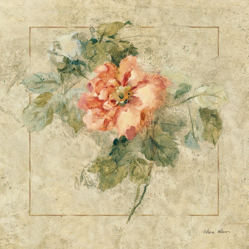 Provence Rose II art print by Cheri Blum for $57.95 CAD