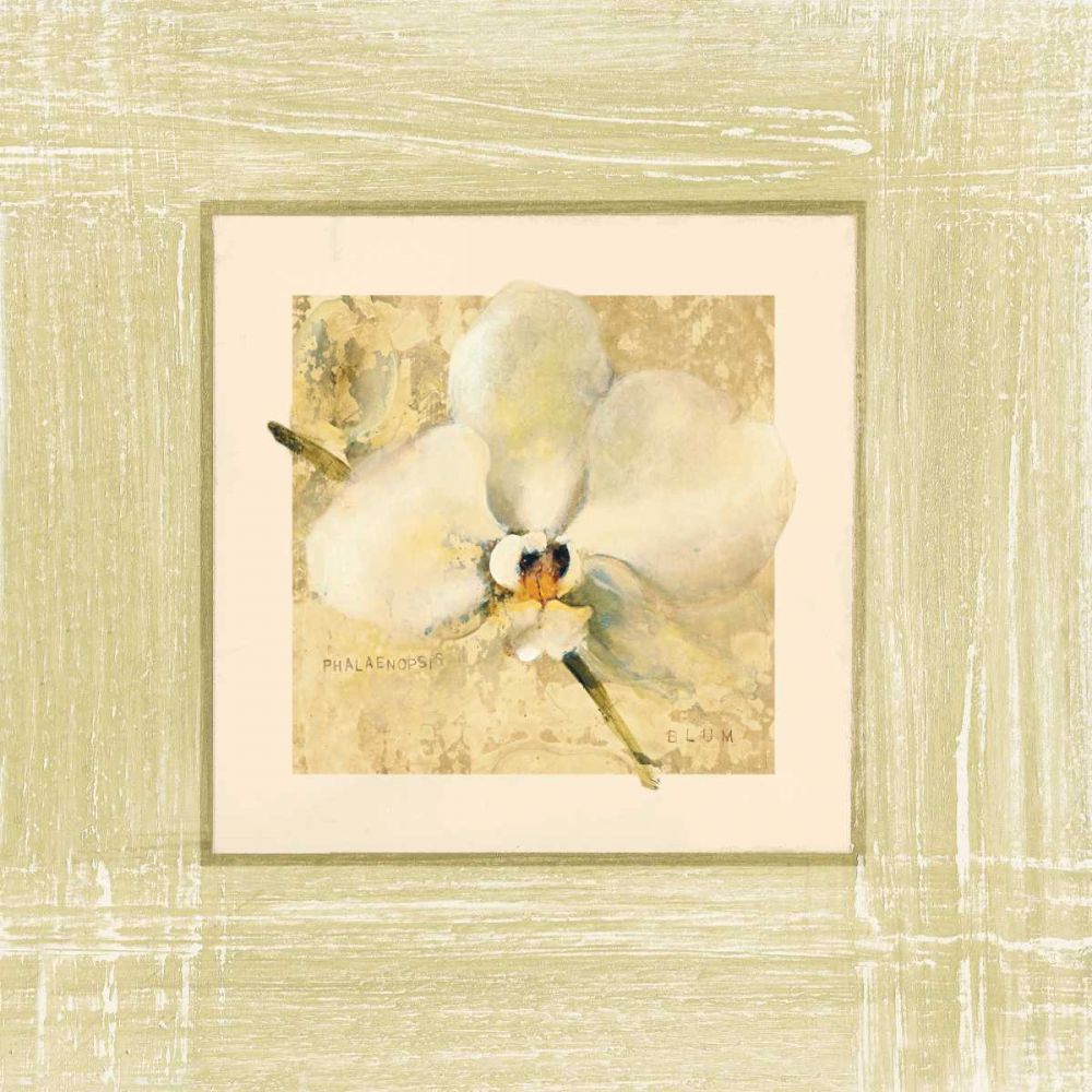 Exotic Floral III art print by Cheri Blum for $57.95 CAD
