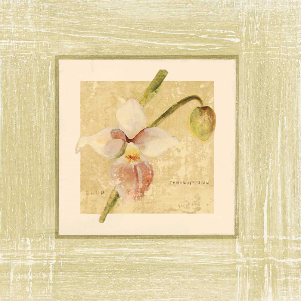 Exotic Floral IV art print by Cheri Blum for $57.95 CAD