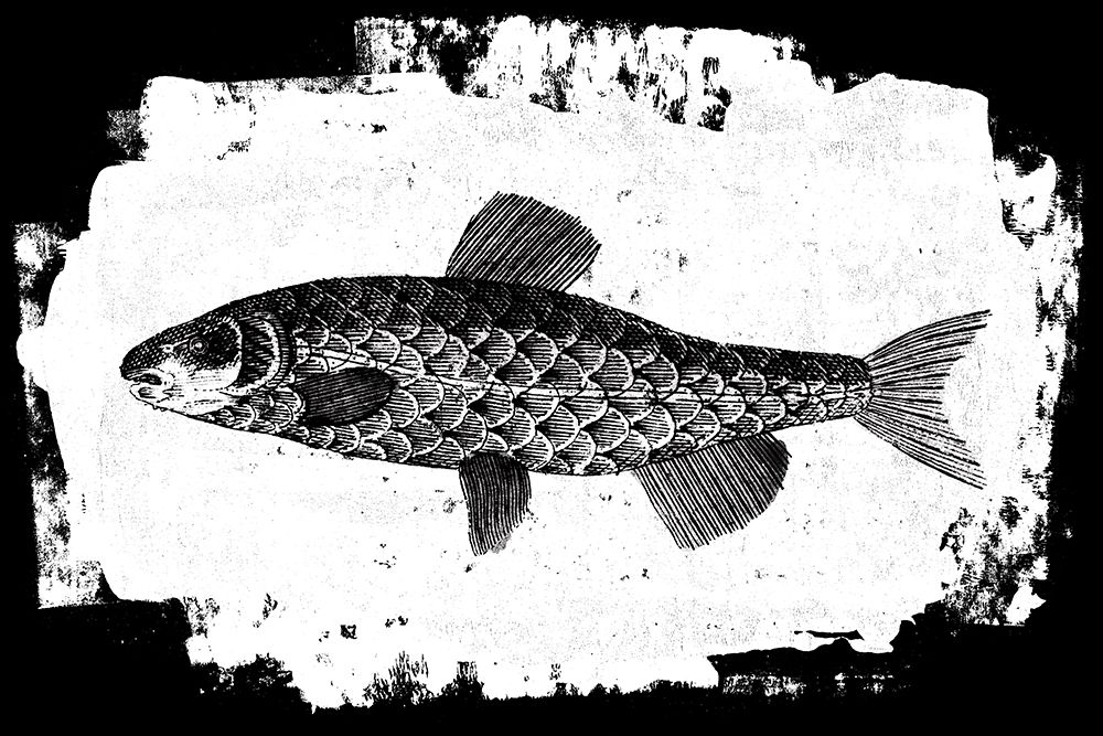 Fish II art print by Sarah Adams for $57.95 CAD