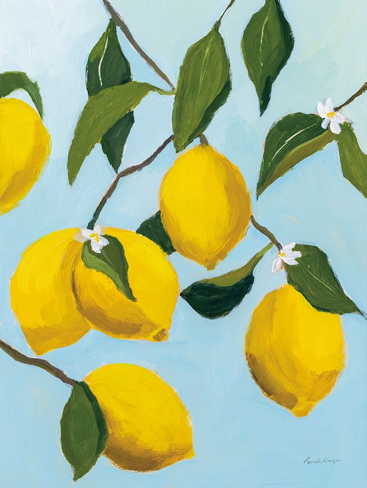 Lemon Tree art print by Pamela Munger for $57.95 CAD