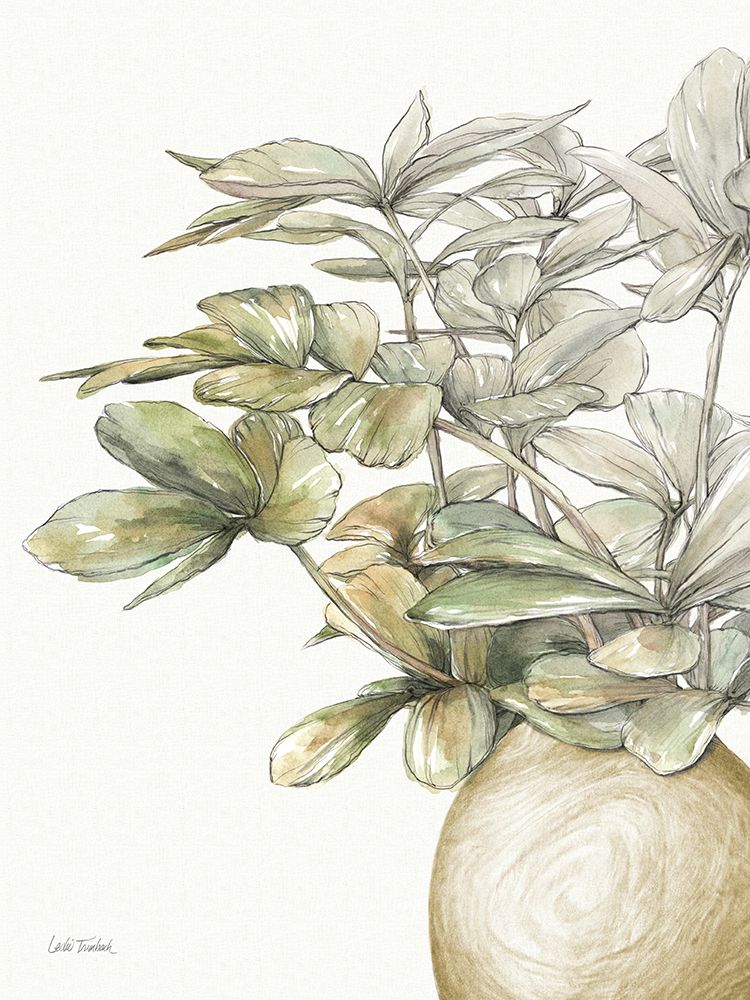 Potted Leaves II art print by Leslie Trimbach for $57.95 CAD