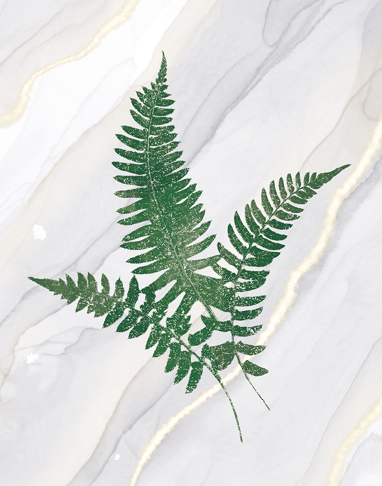Agate Ferns X art print by Wild Apple Portfolio for $57.95 CAD