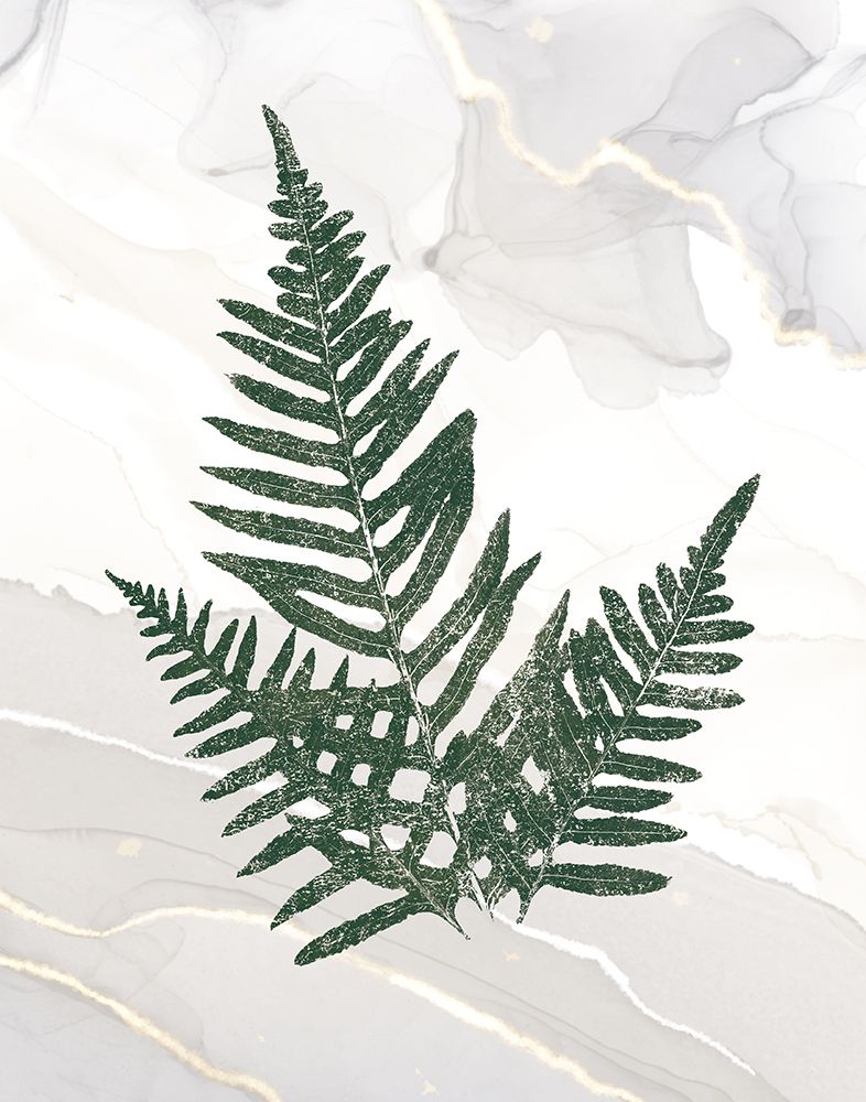 Agate Ferns XI art print by Wild Apple Portfolio for $57.95 CAD