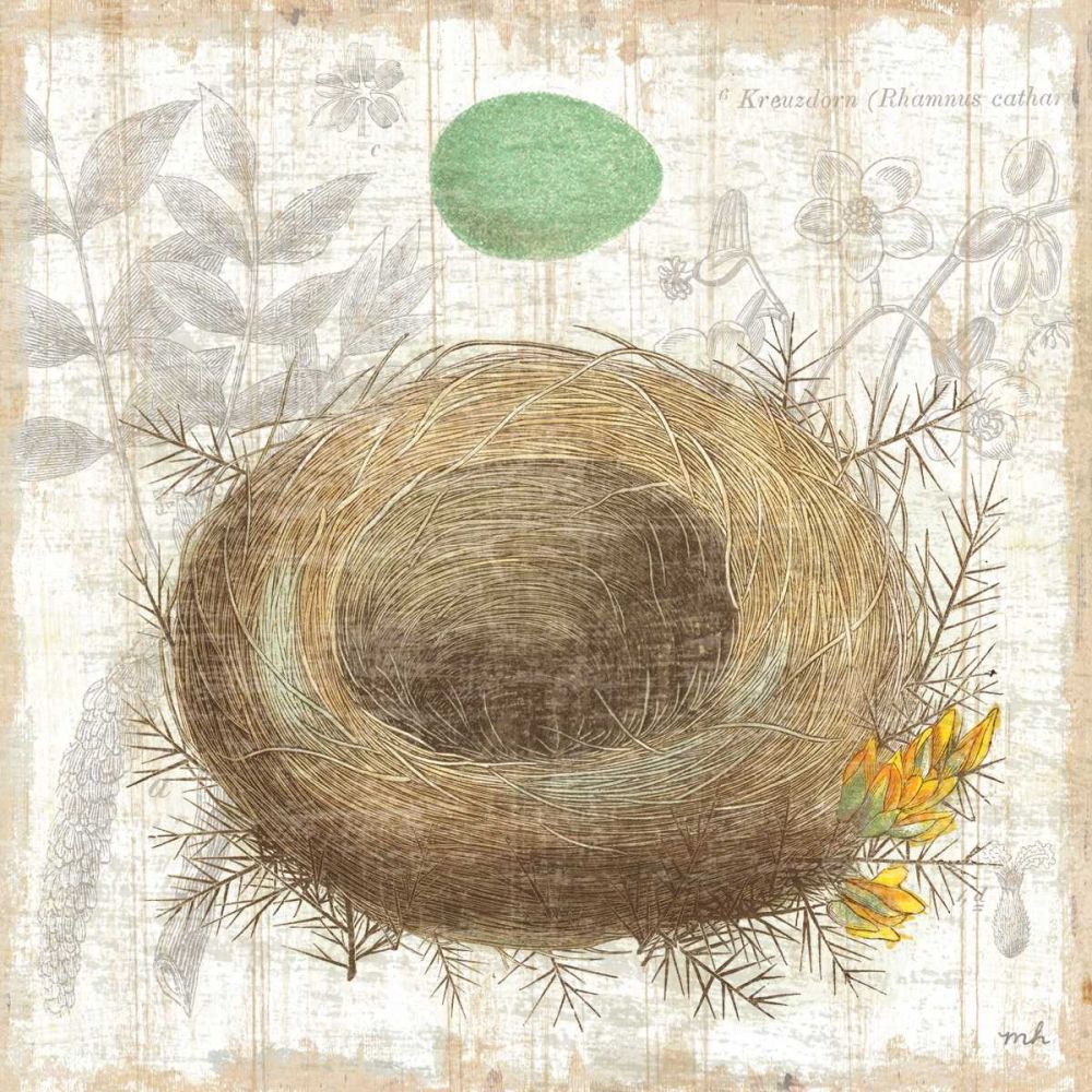 Botanical Nest II art print by Moira Hershey for $57.95 CAD