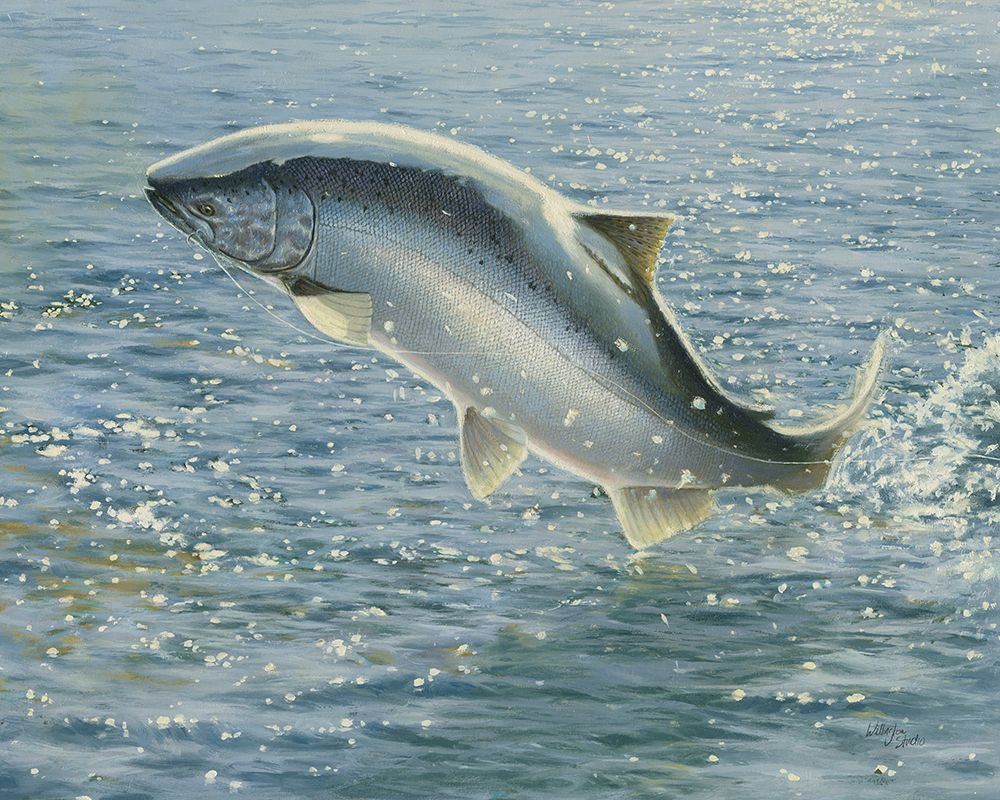 Salmon art print by Wellington Studio for $57.95 CAD