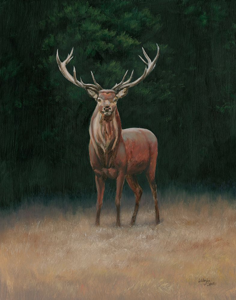 Stag art print by Wellington Studio for $57.95 CAD
