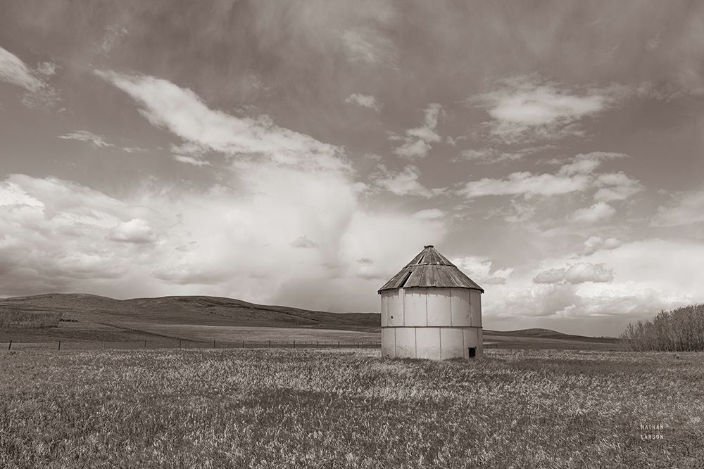 Sunny Pastures BW art print by Nathan Larson for $57.95 CAD