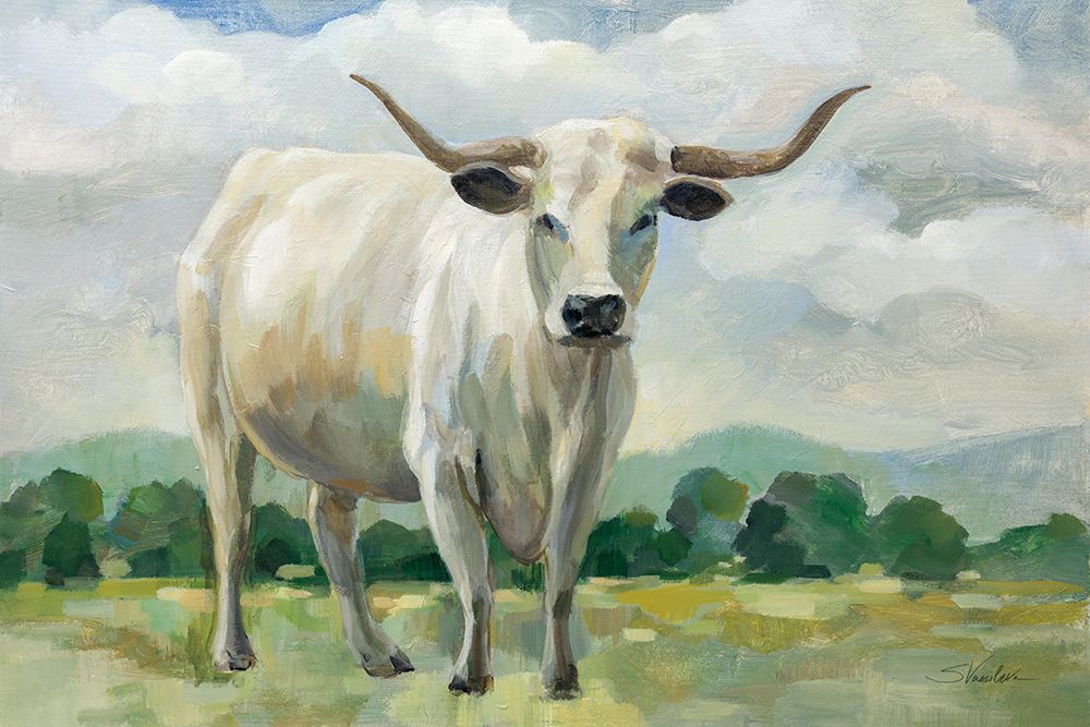 White Longhorn Cow art print by Silvia Vassileva for $57.95 CAD