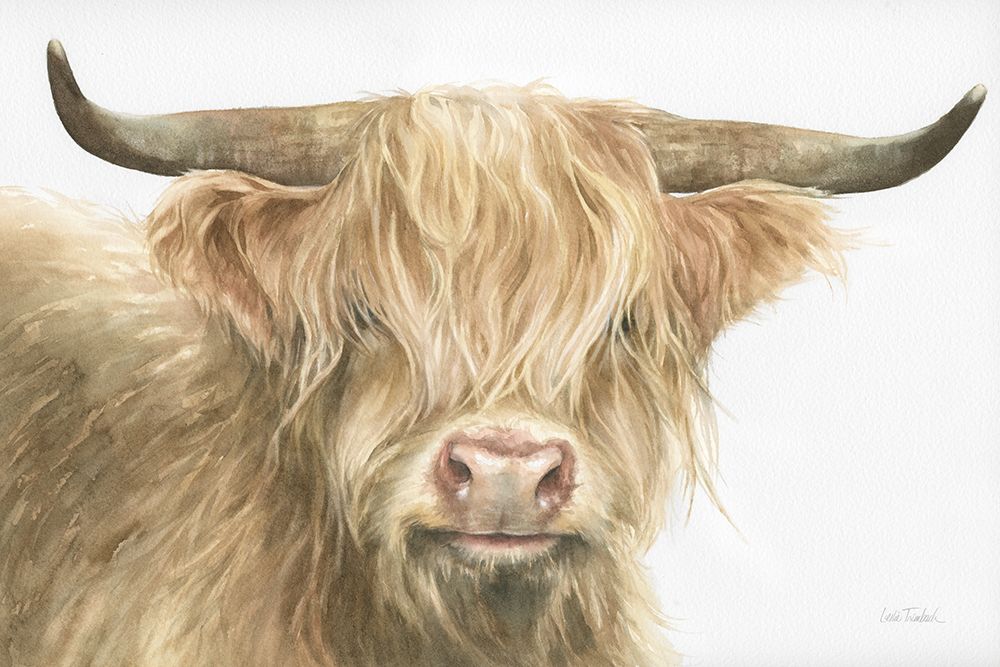 Shetland Cow art print by Leslie Trimbach for $57.95 CAD