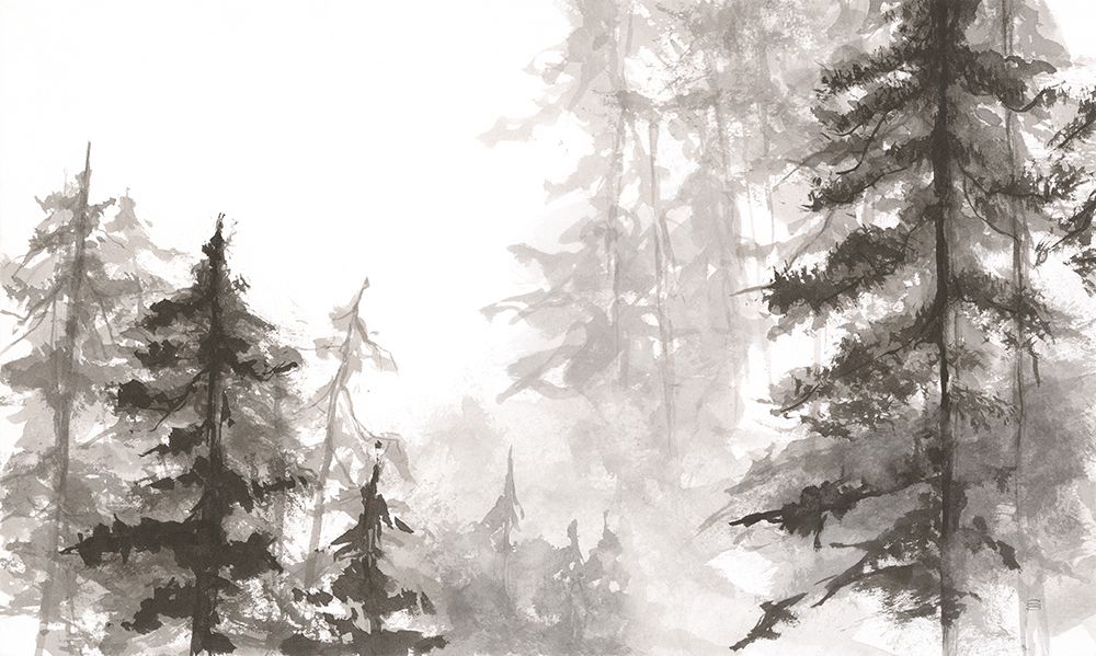 Pinescape V art print by Chris Paschke for $57.95 CAD