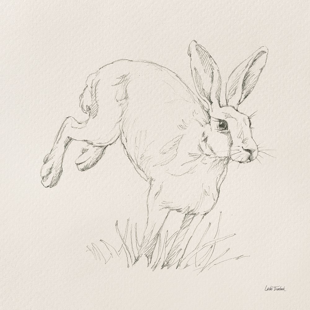 Graceful Rabbit I art print by Leslie Trimbach for $57.95 CAD