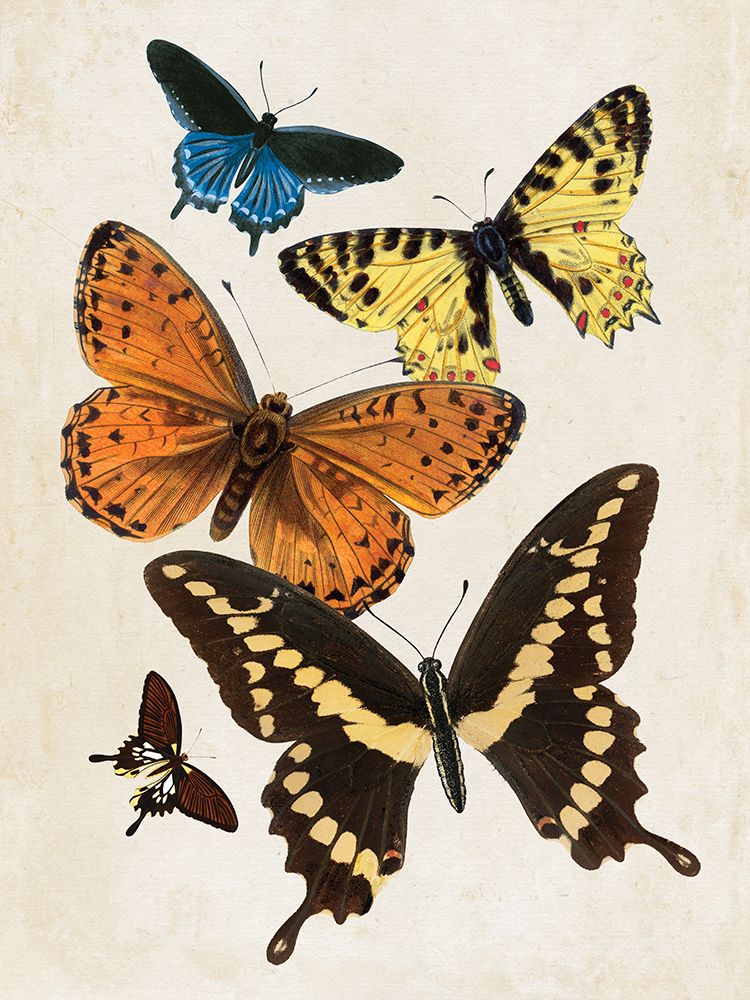 Vintage Butterfly I art print by Wild Apple Portfolio for $57.95 CAD
