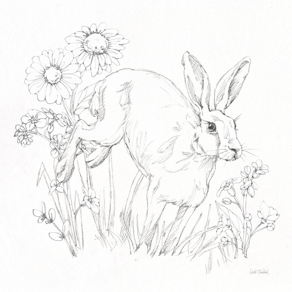 In The Garden IV Sketch art print by Leslie Trimbach for $57.95 CAD