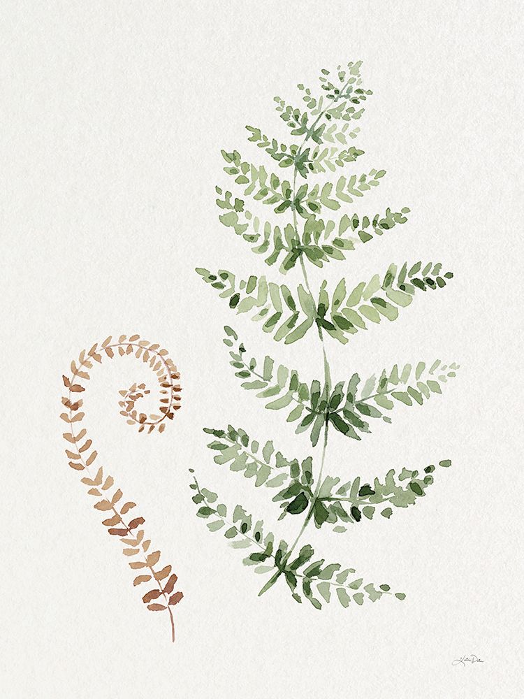 Forest Ferns I art print by Katrina Pete for $57.95 CAD