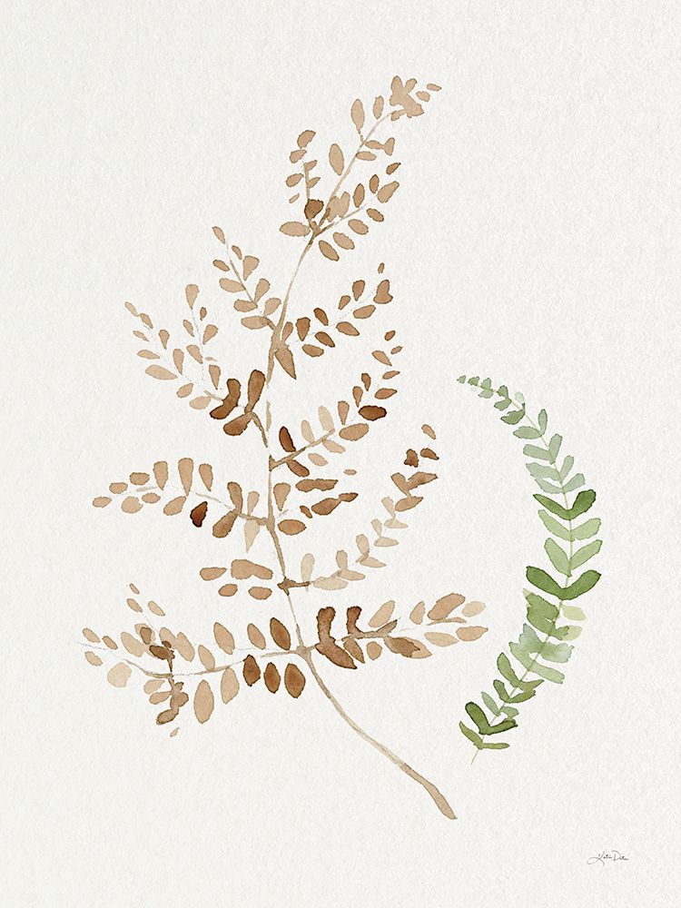 Forest Ferns II art print by Katrina Pete for $57.95 CAD