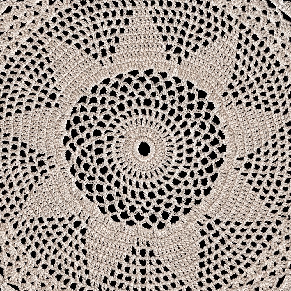 Lace I art print by Wild Apple Portfolio for $57.95 CAD