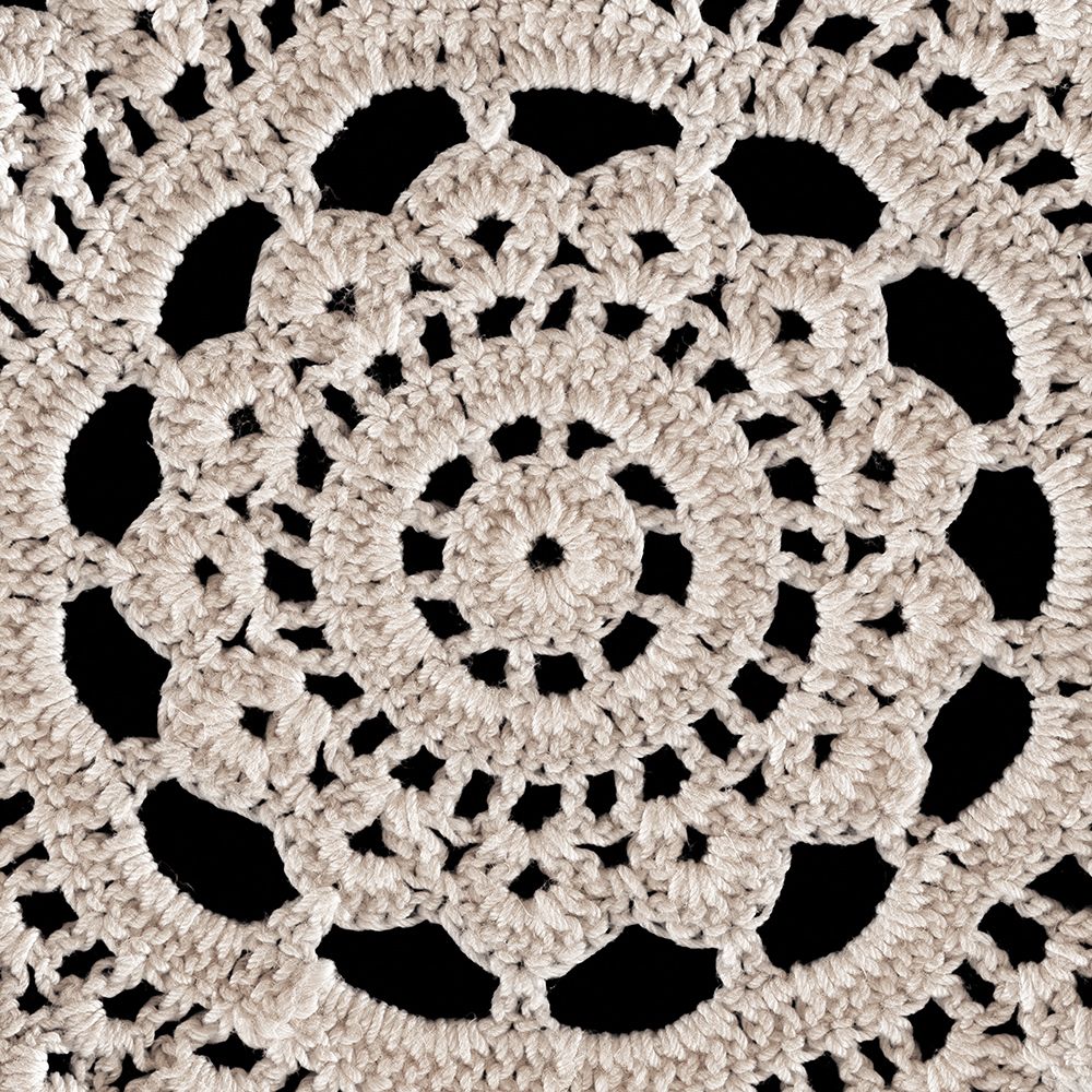 Lace III art print by Wild Apple Portfolio for $57.95 CAD