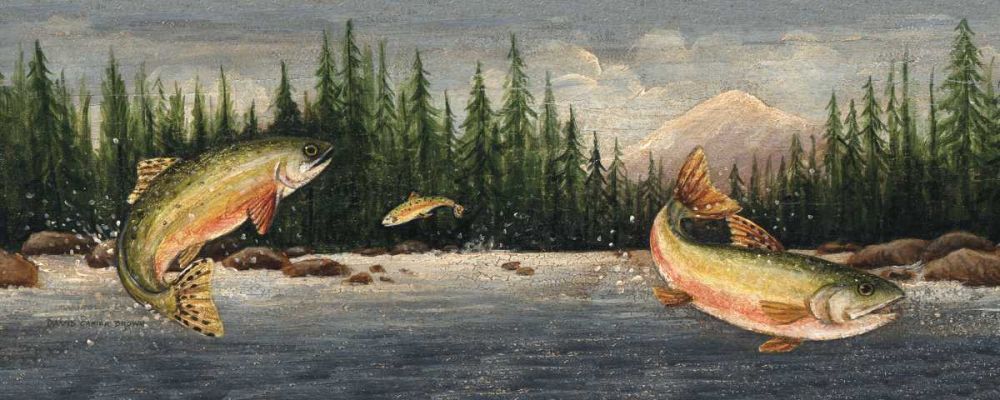 Northwoods Trout art print by David Carter Brown for $57.95 CAD