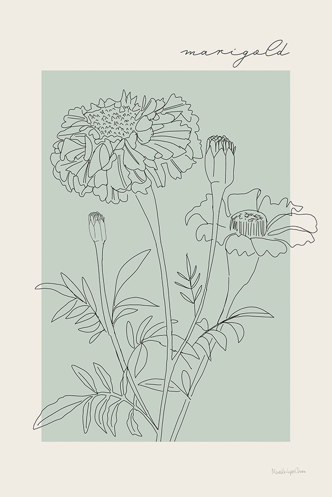 Flower Poster II art print by Mercedes Lopez Charro for $57.95 CAD