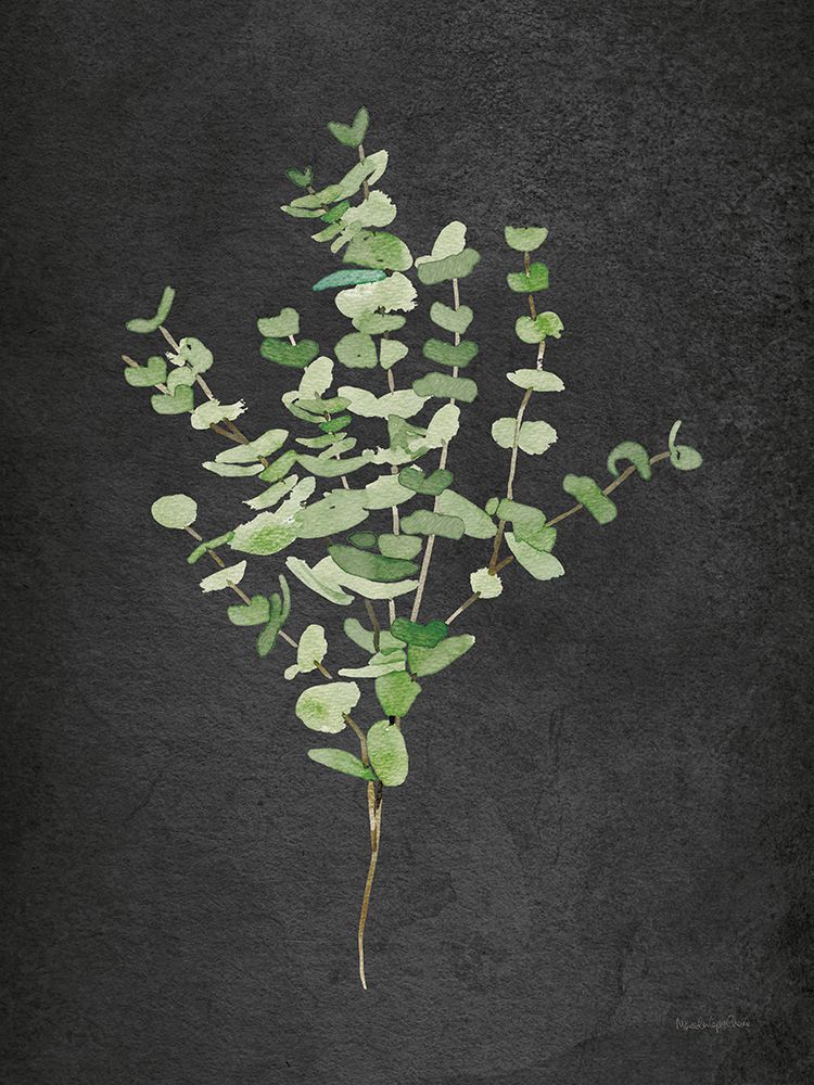 Gentle Eucalyptus on Black art print by Mercedes Lopez Charro for $57.95 CAD