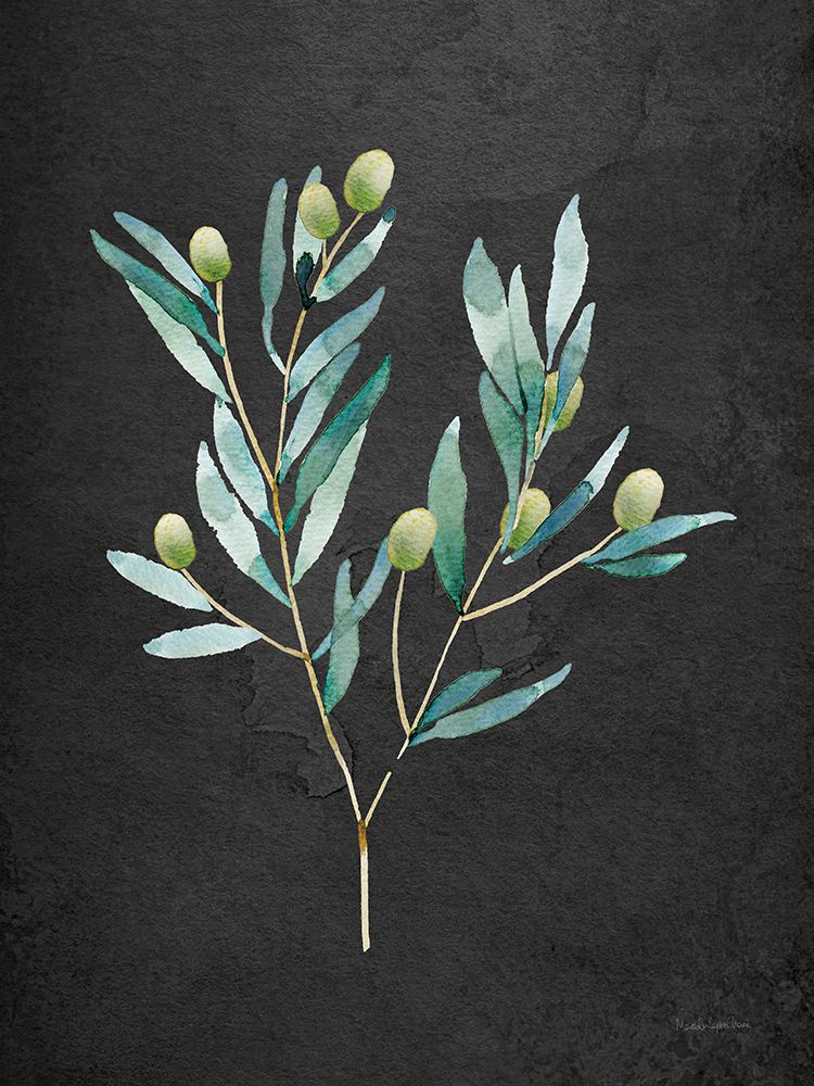 Gentle Olive Branch on Black art print by Mercedes Lopez Charro for $57.95 CAD