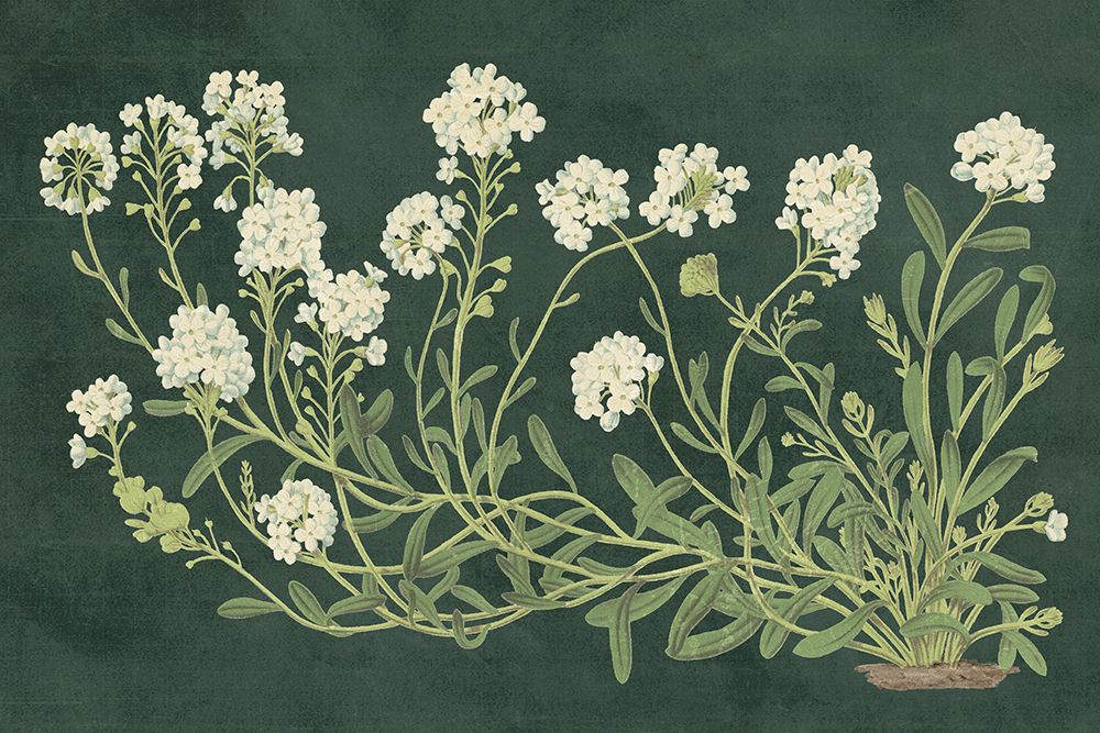 Vintage Flowers on Green art print by Wild Apple Portfolio for $57.95 CAD