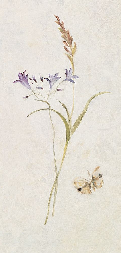 Wild Wallflowers III Panel art print by Cheri Blum for $57.95 CAD