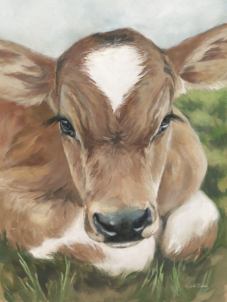 Gentle Calf Face art print by Leslie Trimbach for $57.95 CAD