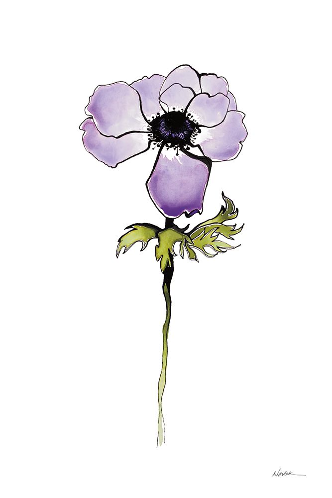 Purple Anemone I art print by Shirley Novak for $57.95 CAD