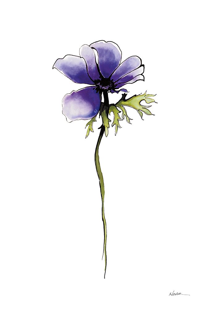 Purple Anemone II art print by Shirley Novak for $57.95 CAD