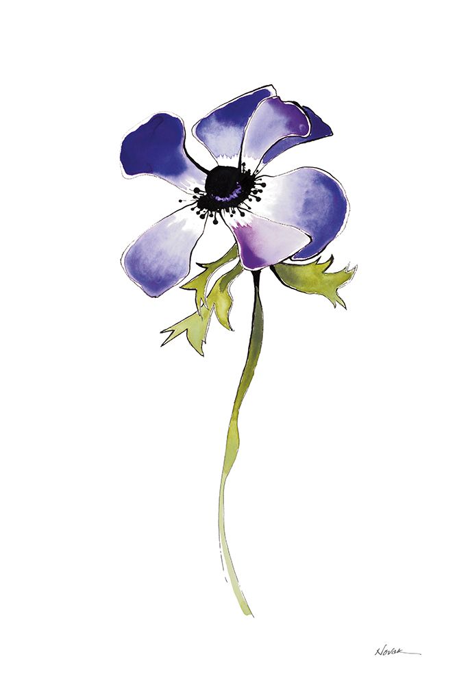 Purple Anemone IV art print by Shirley Novak for $57.95 CAD