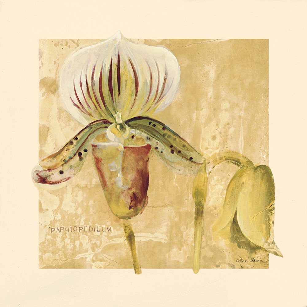 Exotic Floral II Crop art print by Cheri Blum for $57.95 CAD