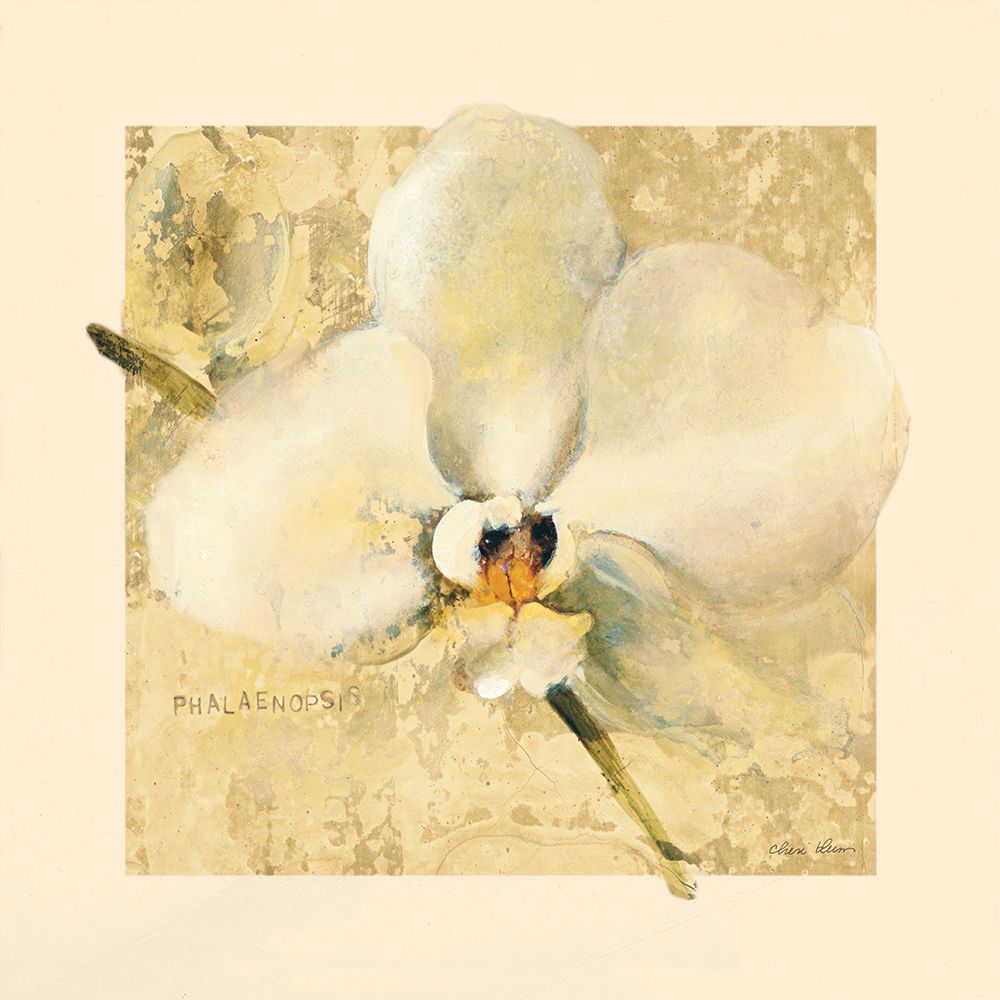 Exotic Floral III Crop art print by Cheri Blum for $57.95 CAD