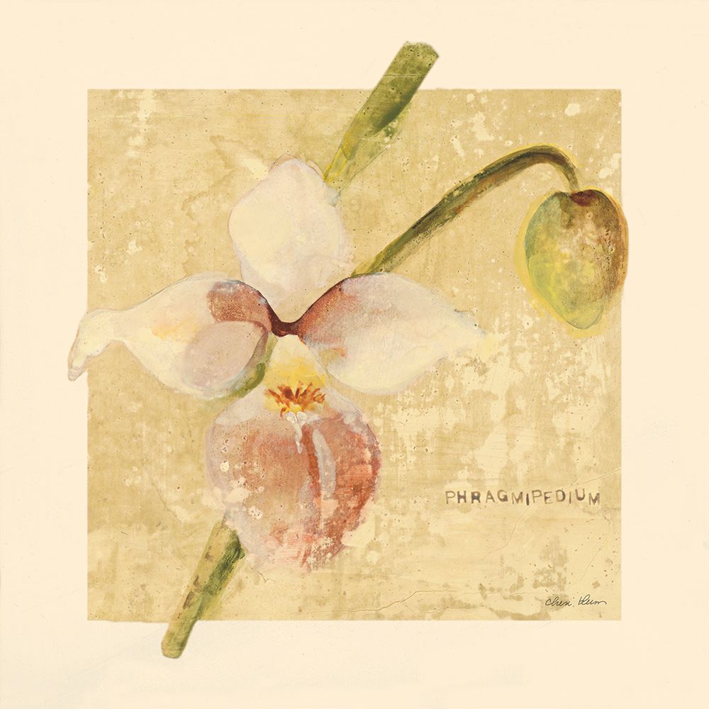 Exotic Floral IV Crop art print by Cheri Blum for $57.95 CAD