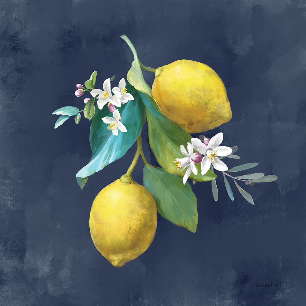 Lemon Branches II art print by Danhui Nai for $57.95 CAD