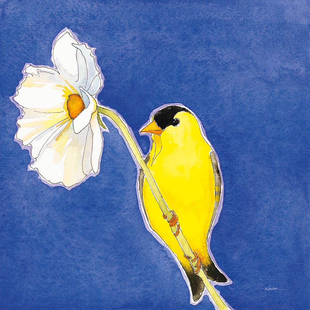 Gold Finch on White Cosmos art print by Shirley Novak for $57.95 CAD