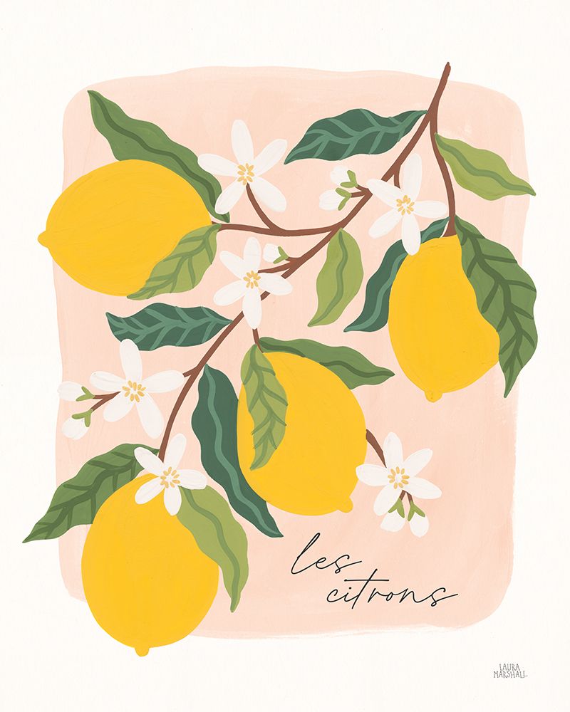 Marche aux Fruits II v2 art print by Laura Marshall for $57.95 CAD
