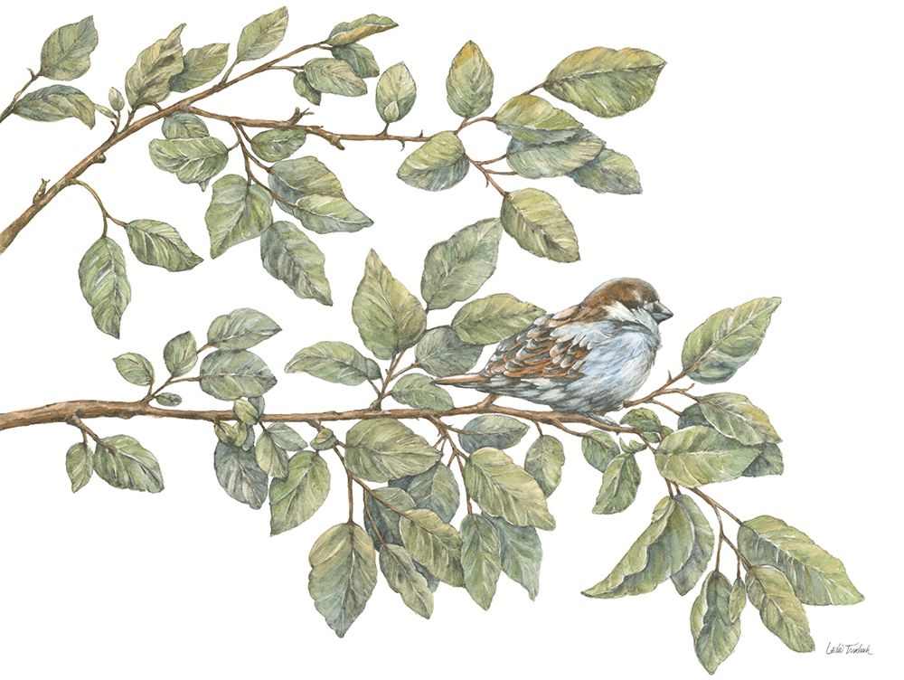 Bird on Branch I art print by Leslie Trimbach for $57.95 CAD