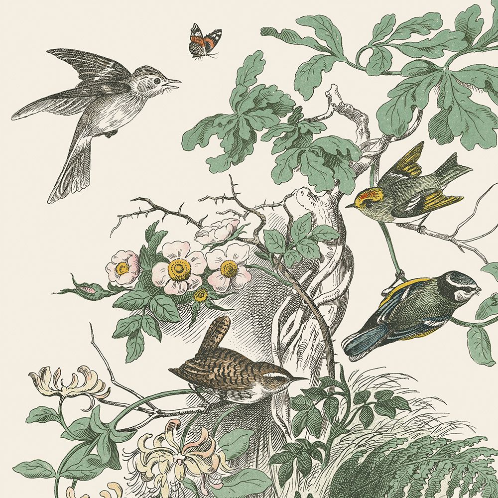 Honeybloom Bird III art print by Wild Apple Portfolio for $57.95 CAD